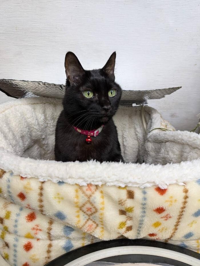 Images ヘアーサロンヒデ