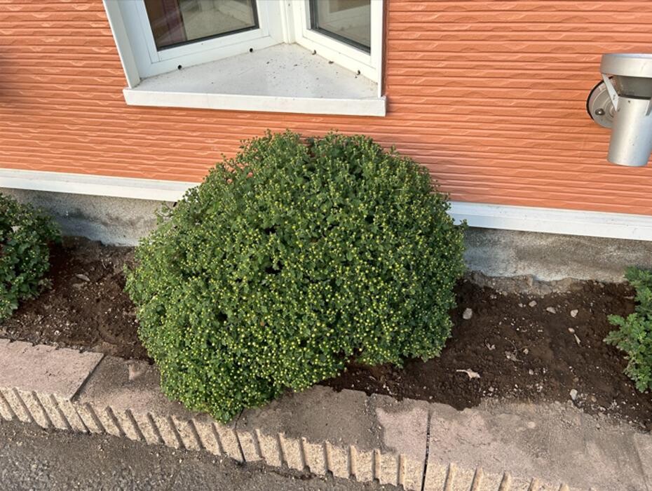 Images ヘアードレッサーシミズ