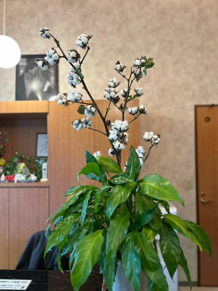 Images ヘアードレッサーシミズ