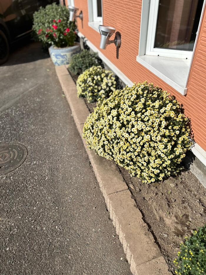 Images ヘアードレッサーシミズ