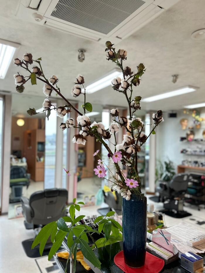 Images ヘアードレッサーシミズ