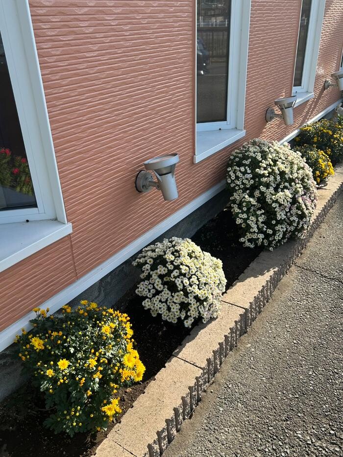 Images ヘアードレッサーシミズ