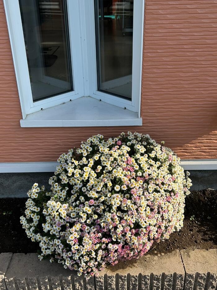 Images ヘアードレッサーシミズ