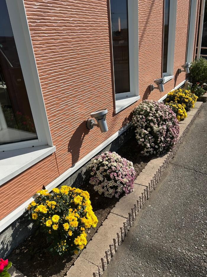 Images ヘアードレッサーシミズ