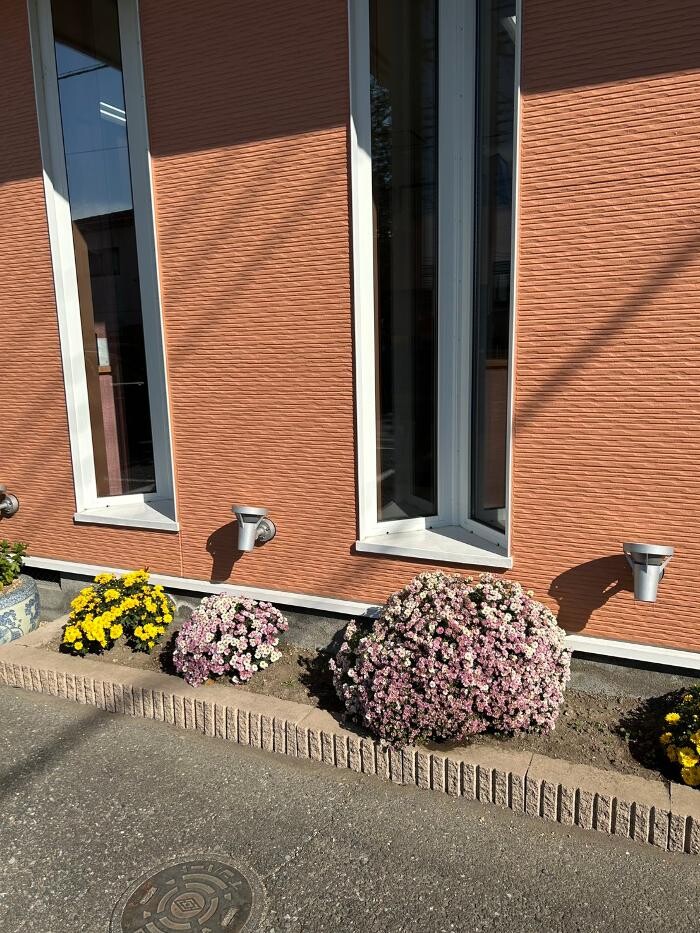 Images ヘアードレッサーシミズ