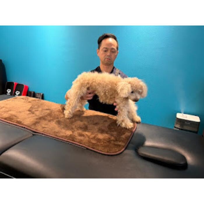 Images Nexfit for Animal