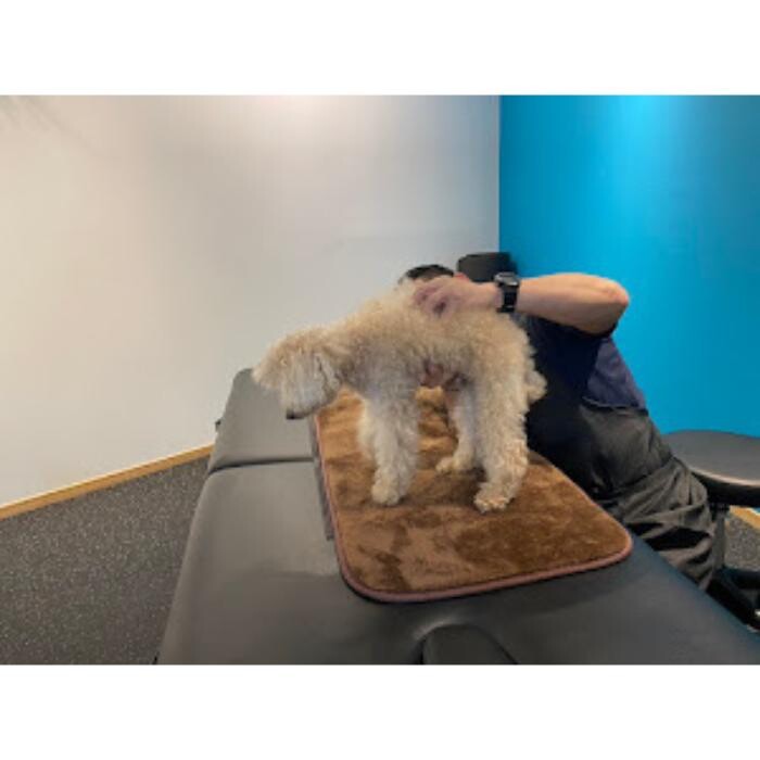 Images Nexfit for Animal