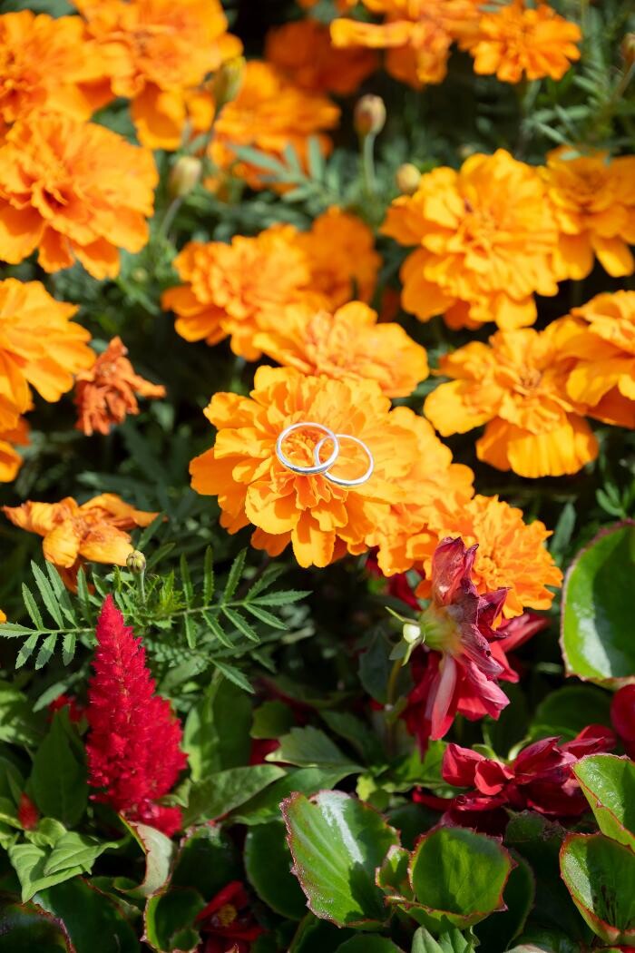 Images 工房Smith京王プラザホテル札幌店