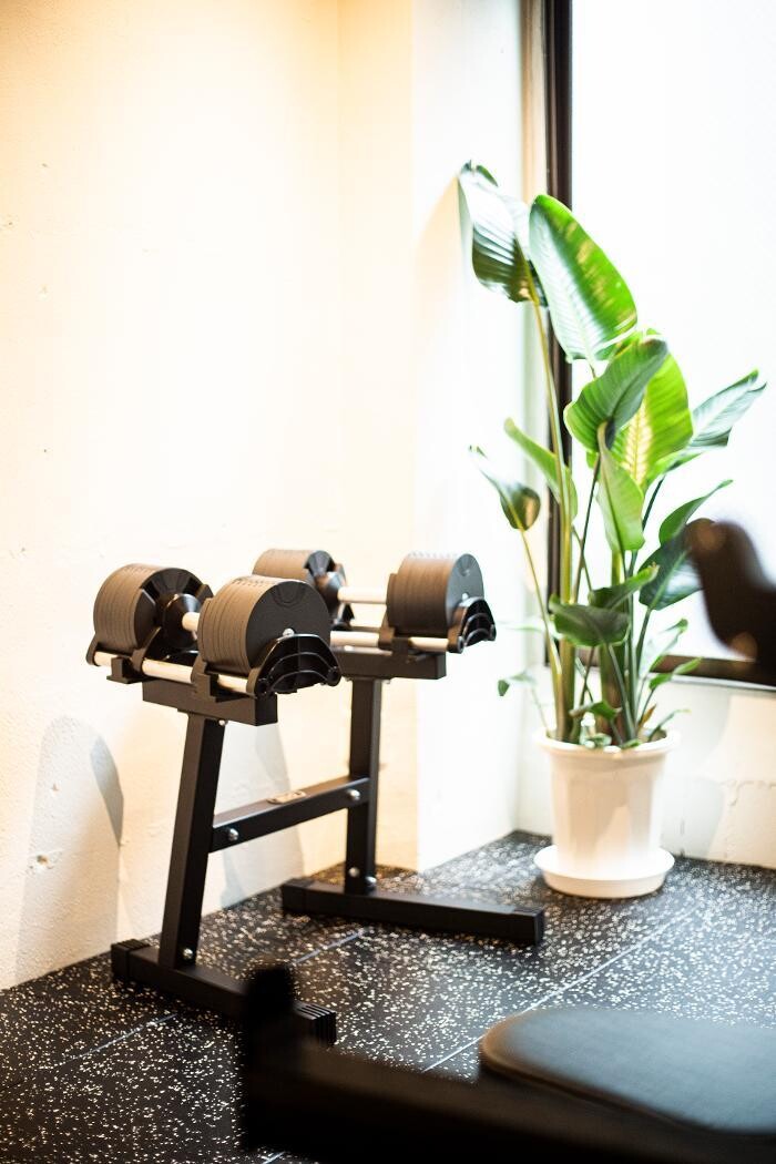 Images THE FITNESS