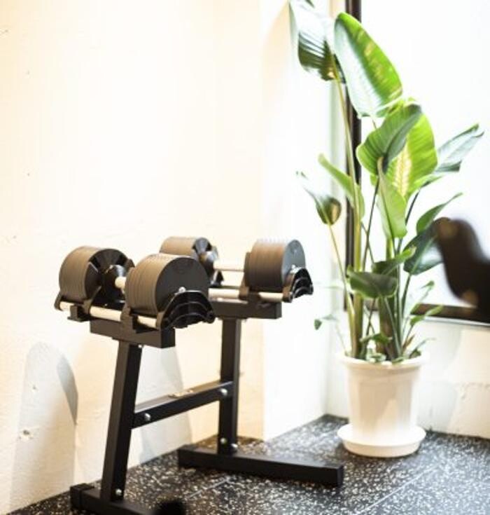 Images THE FITNESS