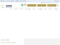 Website Screenshot SHINE Beauty Salon豊橋店
