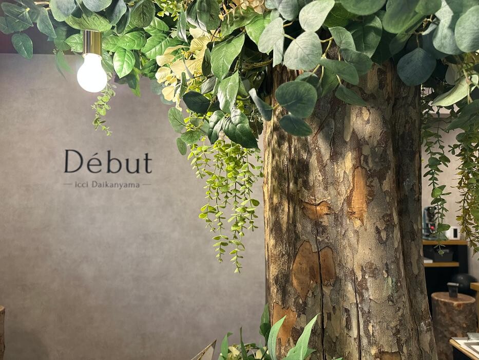 Images Debut icci 代官山