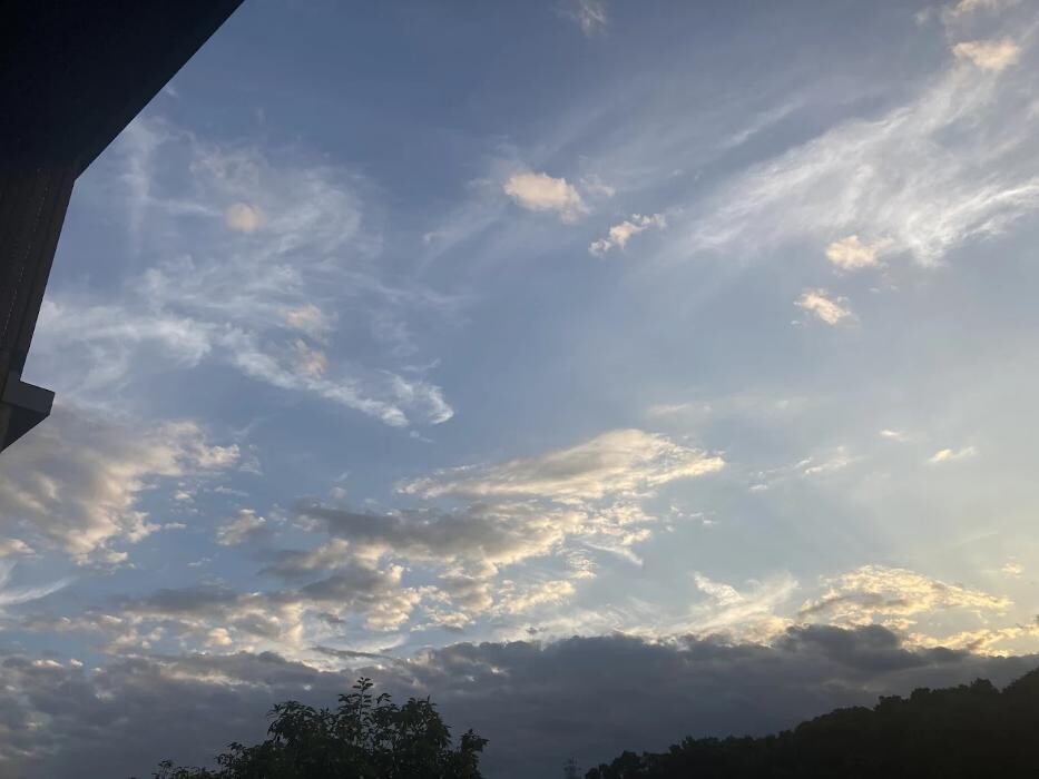 Images 有倫堂 鍼灸院 西荻窪