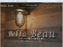Website Screenshot Bella Beau
