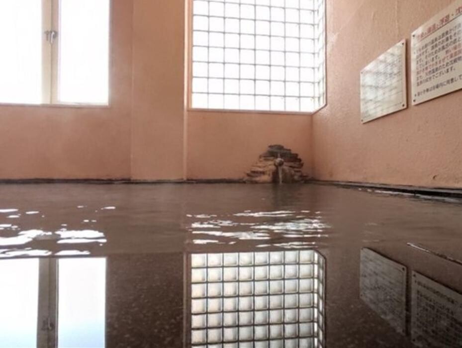 Images 湯の川温泉源泉かけ流しの宿 ホテルかもめ館