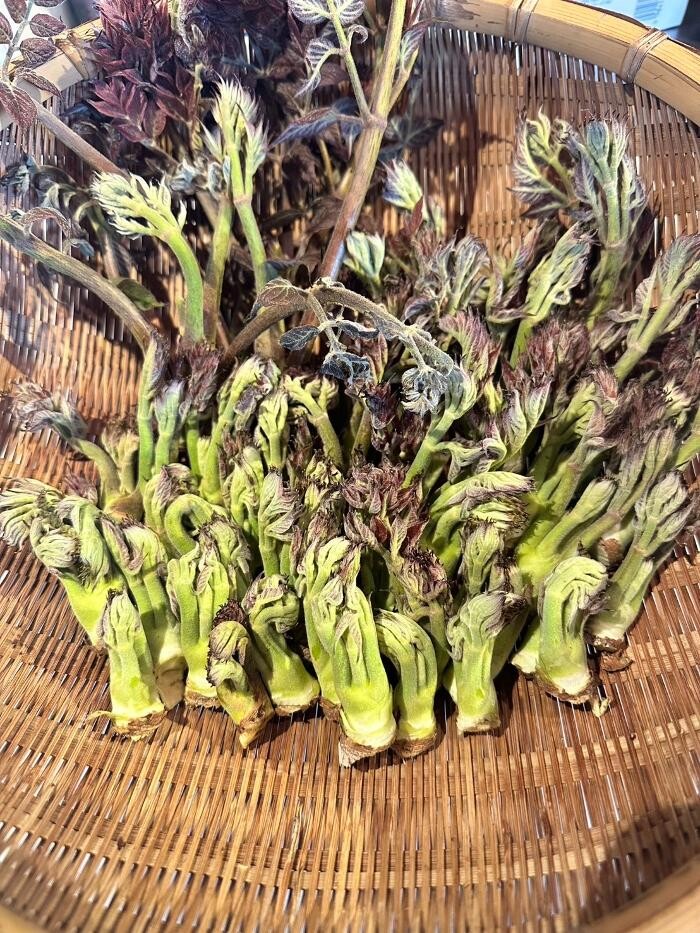 Images 古民家酒房 菜音