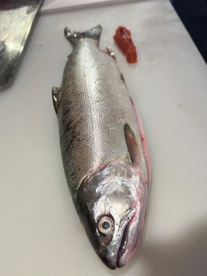 Images 古民家酒房 菜音