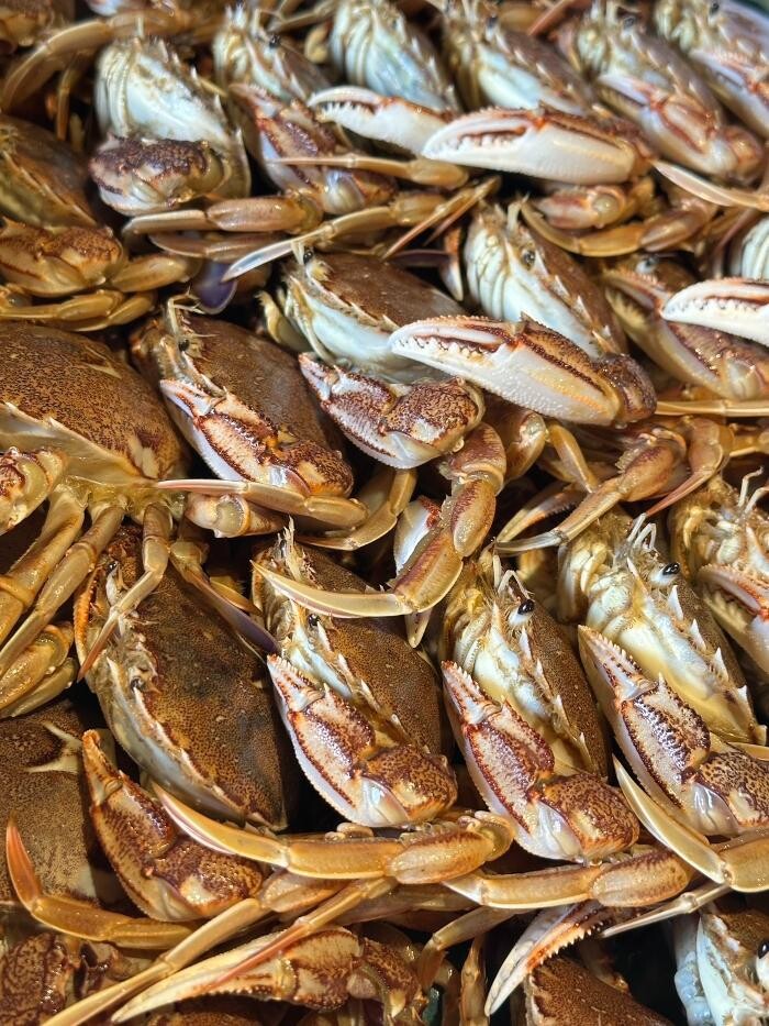 Images 古民家酒房 菜音