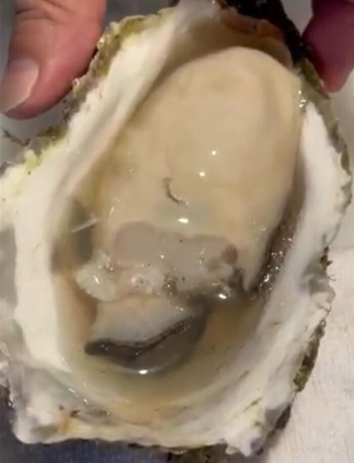 Images 古民家酒房 菜音