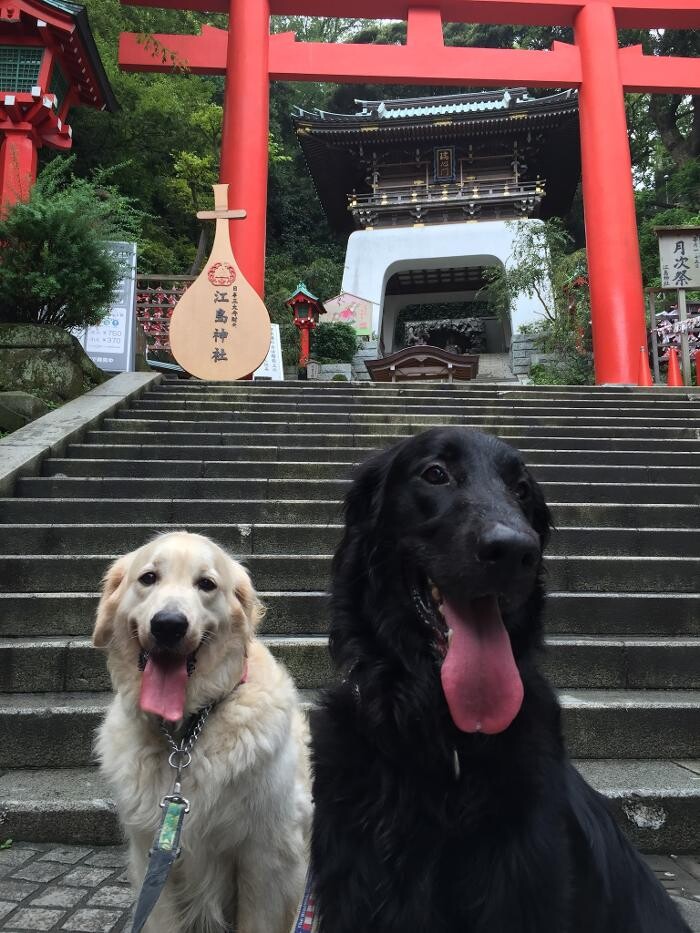 Images 医療法人宝歯会 平沢歯科