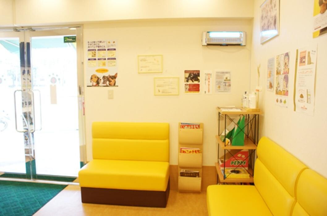 Images モモ動物病院