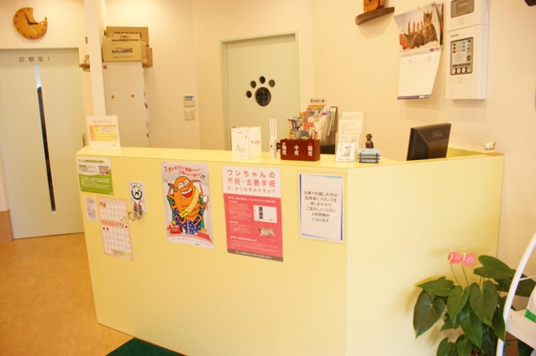 Images モモ動物病院