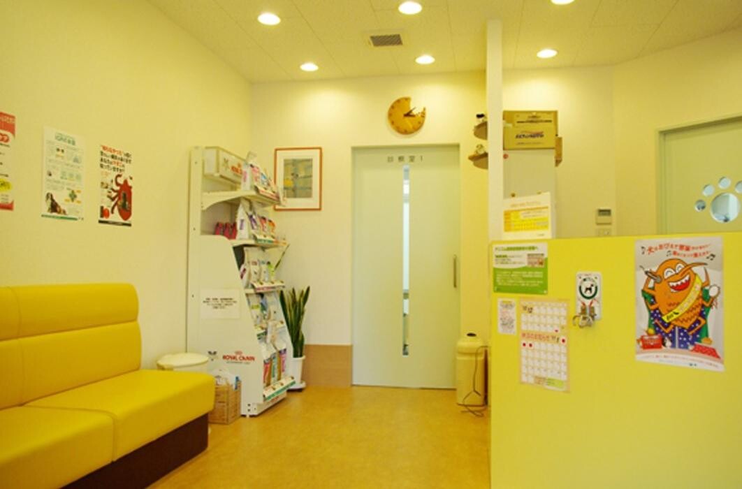 Images モモ動物病院