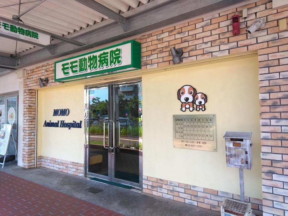 Images モモ動物病院