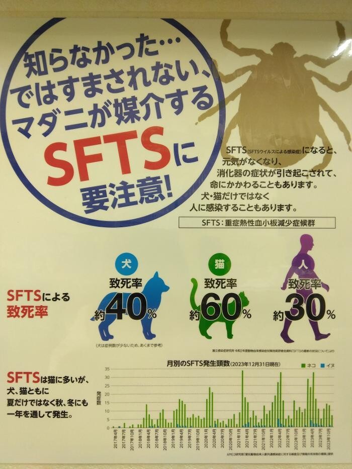 Images モモ動物病院