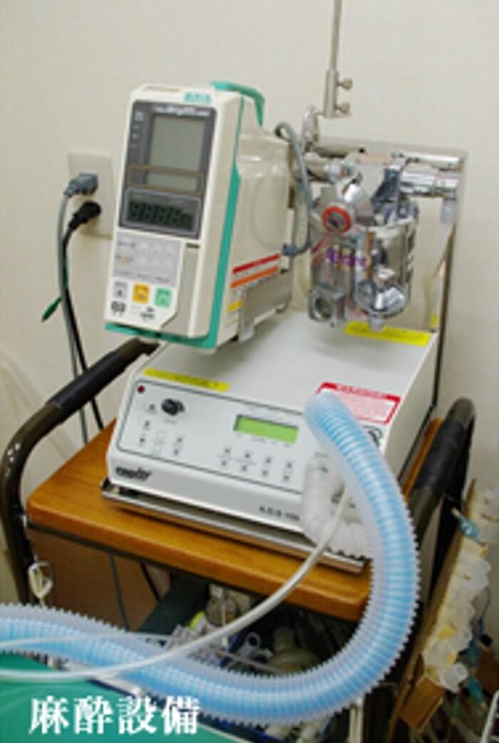 Images モモ動物病院