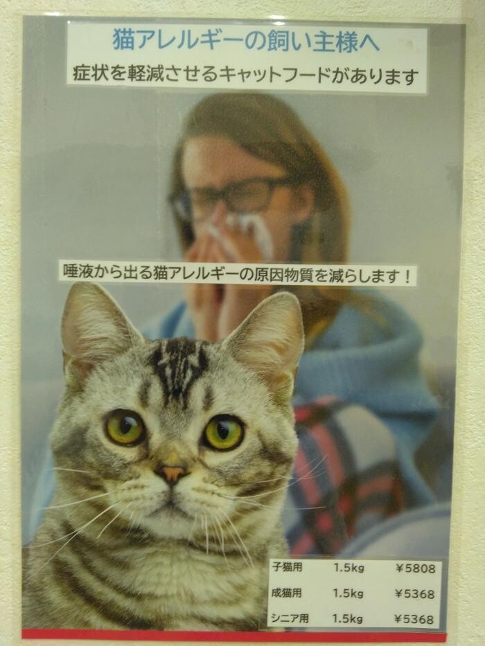 Images モモ動物病院