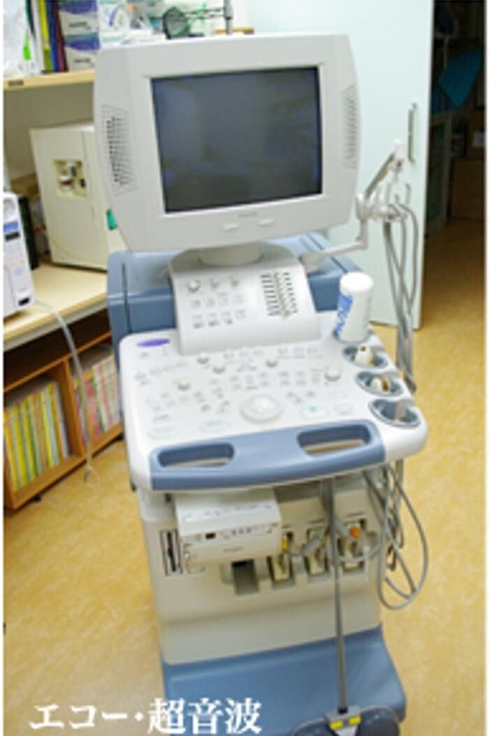 Images モモ動物病院