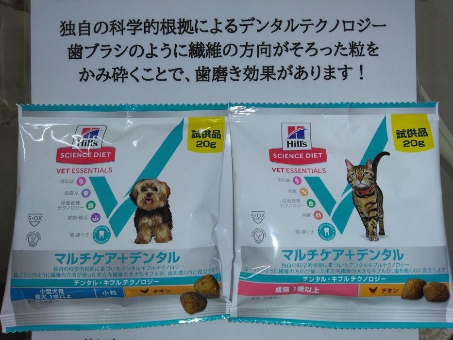 Images モモ動物病院