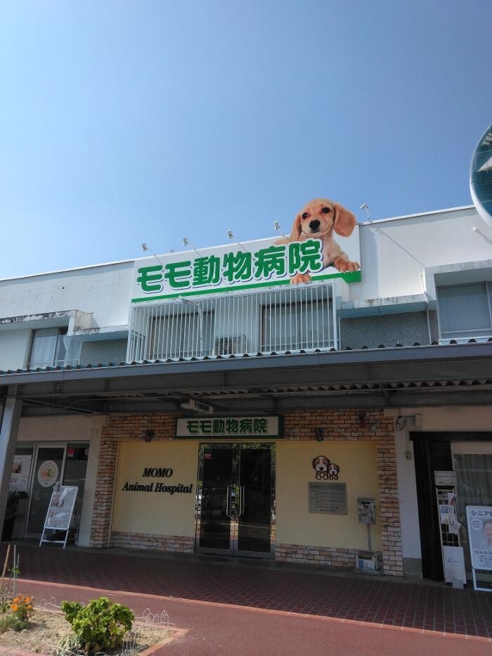 Images モモ動物病院