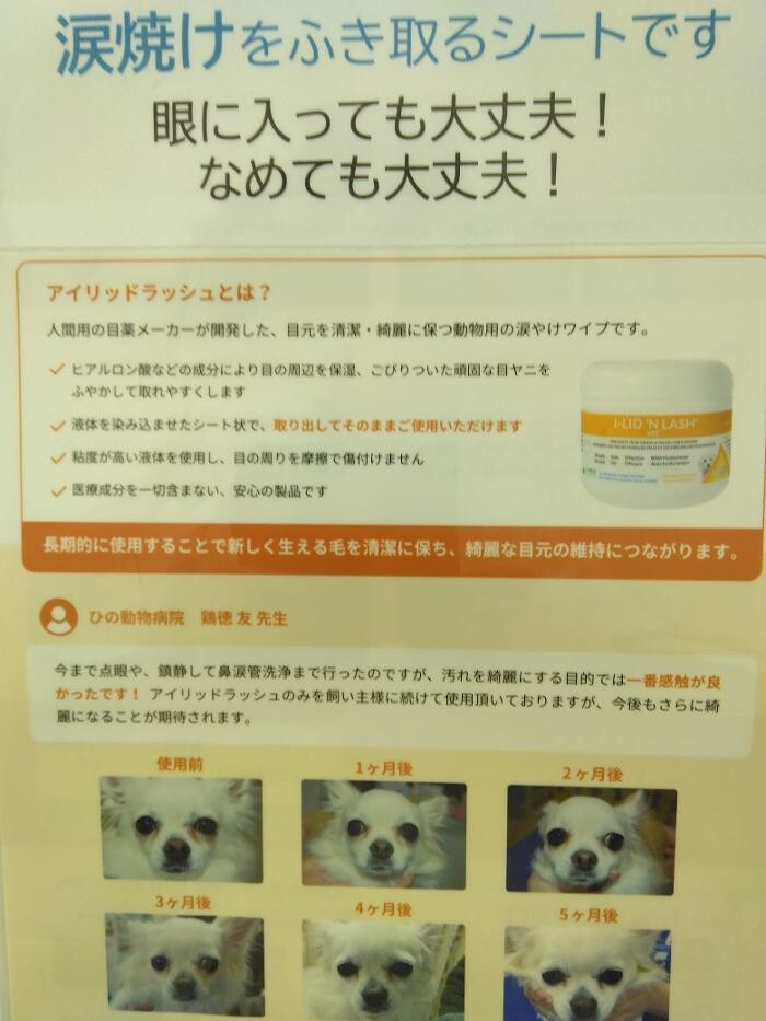 Images モモ動物病院