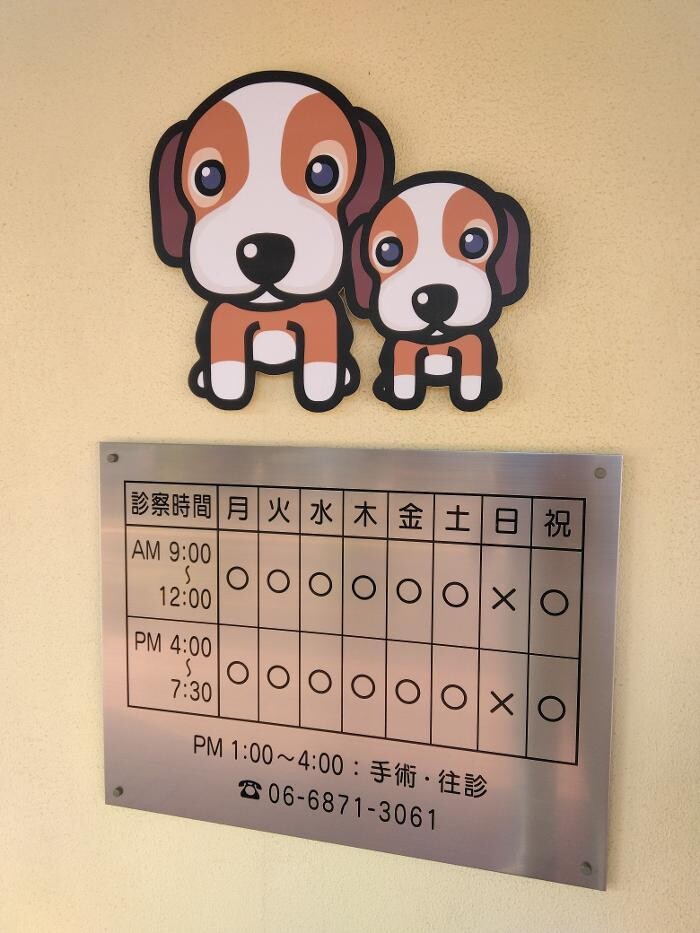 Images モモ動物病院