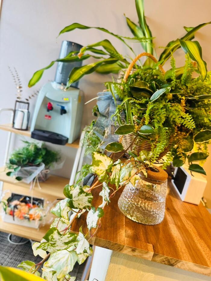 Images リラクゼーションスペース リアン