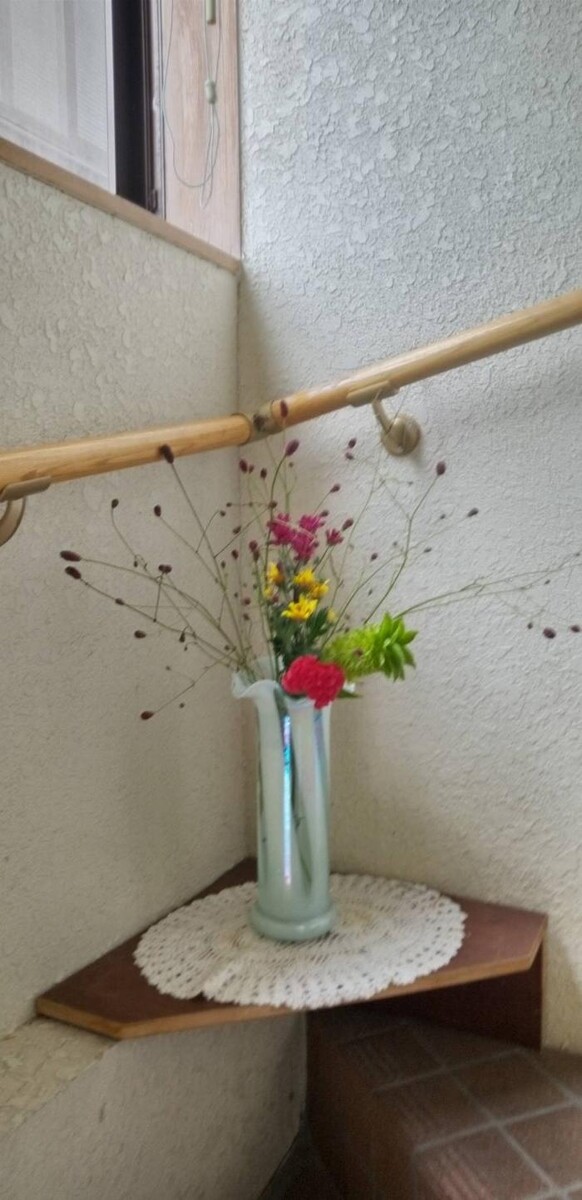 Images アイリス