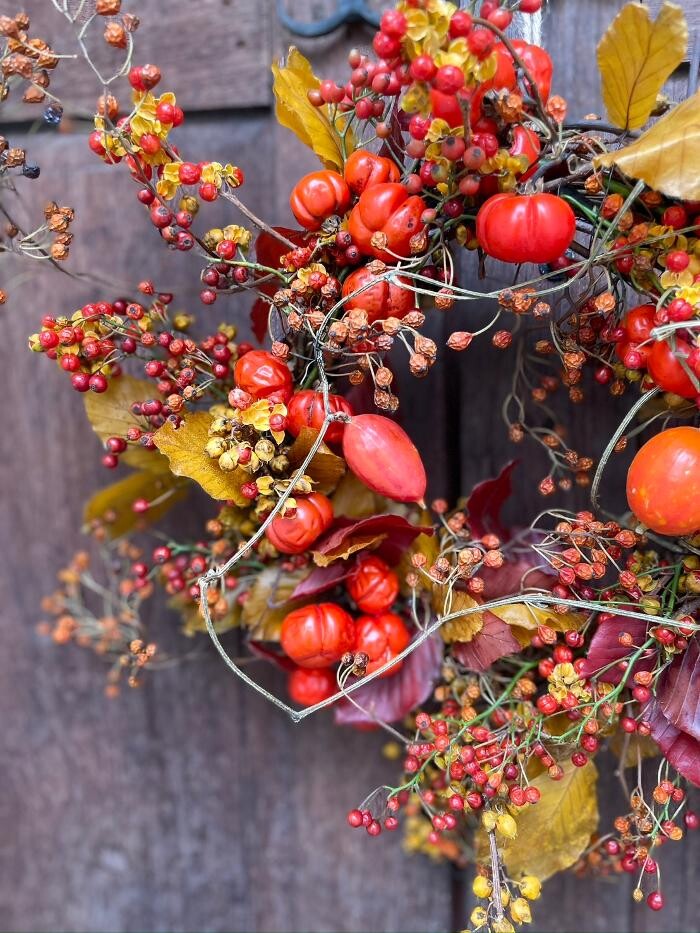 Images MATAHARI 京都