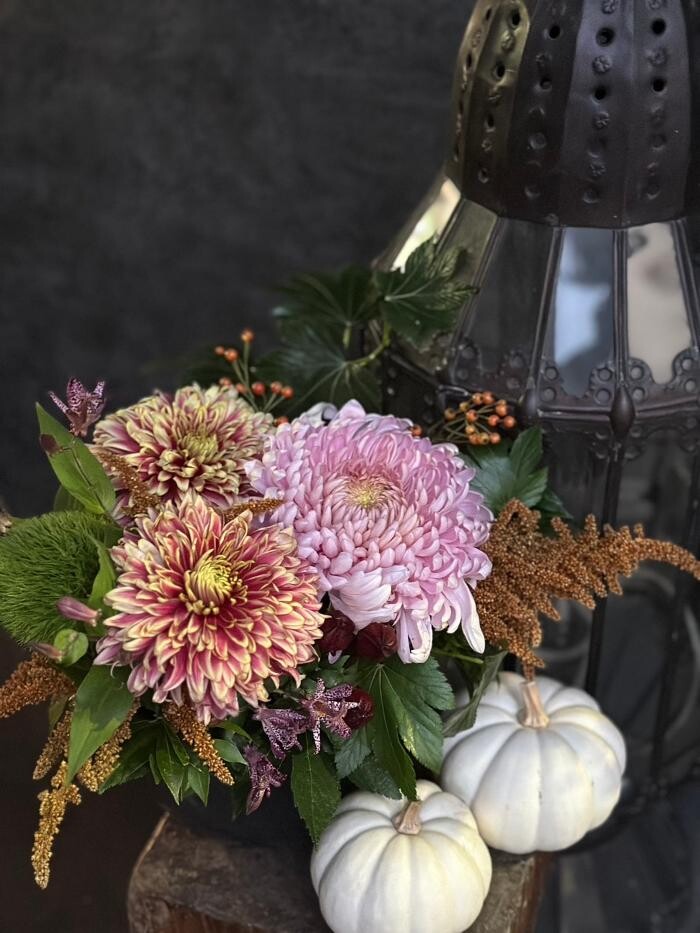 Images MATAHARI 京都