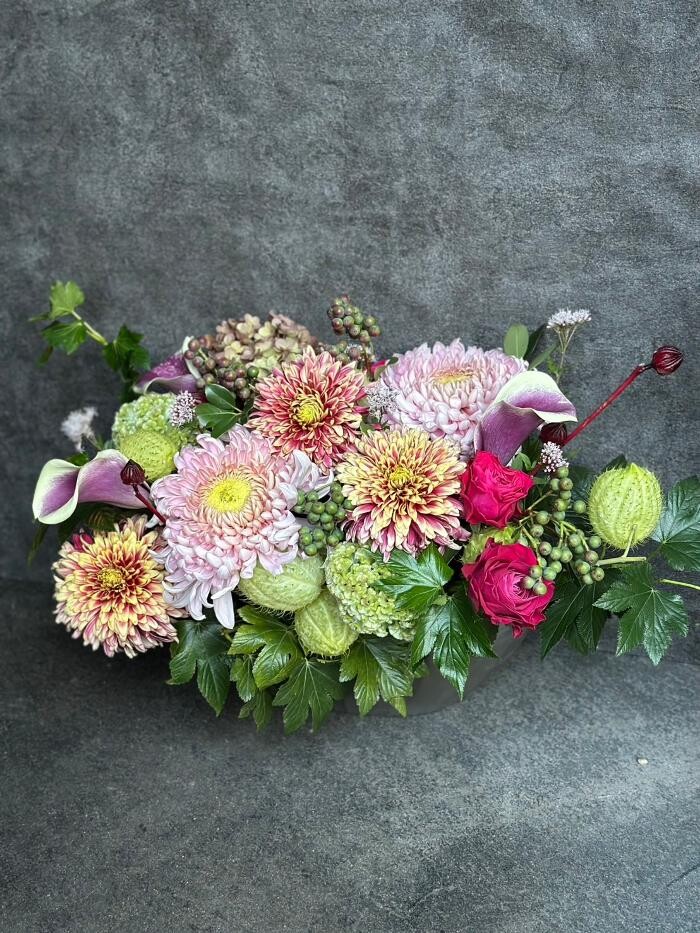 Images MATAHARI 京都