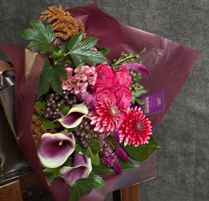 Images MATAHARI 京都