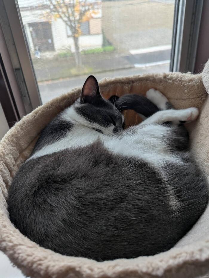 Images ヘアーサロンKAORU