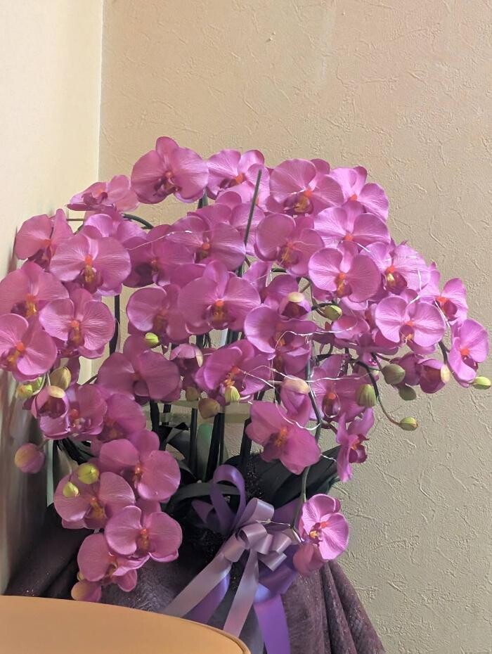 Images フィリピンパブ ナイトパブ カラ