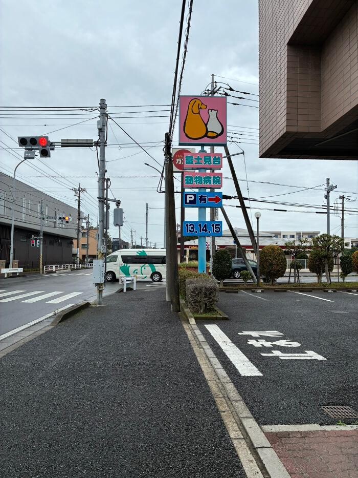 Images 富士見台動物病院