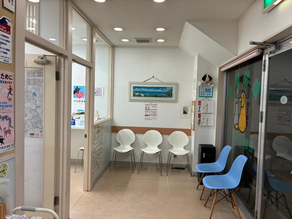 Images 富士見台動物病院