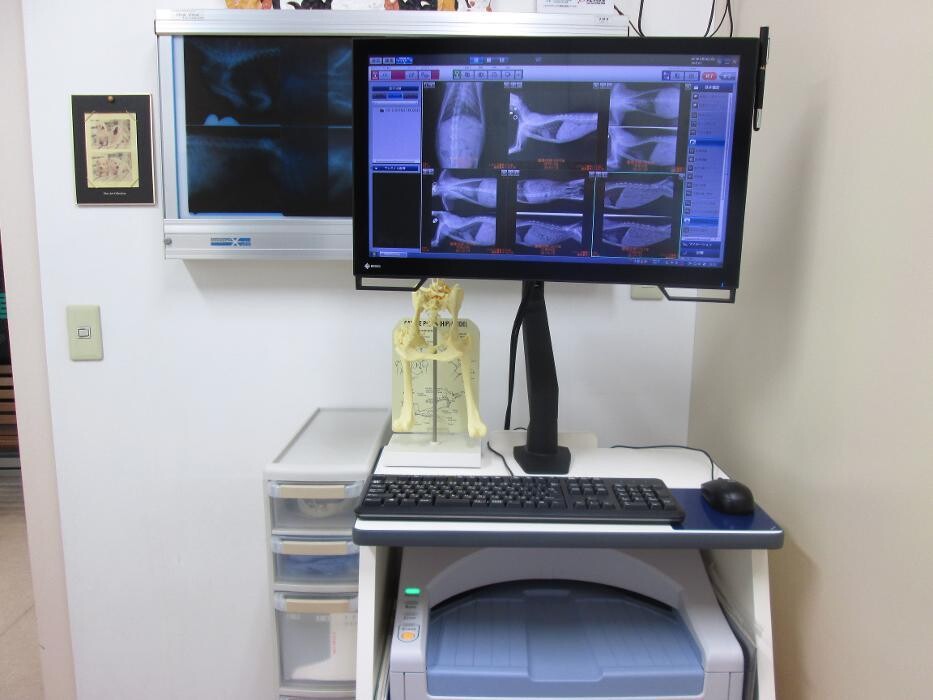 Images 富士見台動物病院