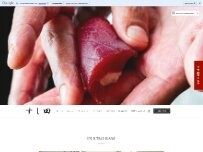 Website Screenshot すし田