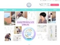 Website Screenshot カイロプラクティック さかいろ