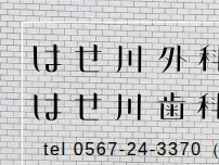 Website Screenshot はせ川外科
